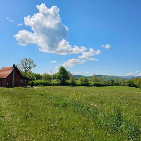 Willa Brvnara Zecevic Zlatibor Zewnętrze zdjęcie