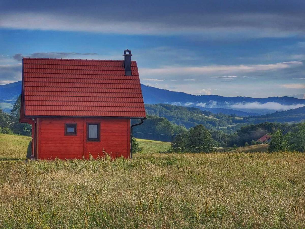 Willa Brvnara Zecevic Zlatibor Zewnętrze zdjęcie